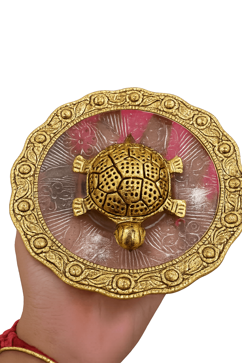 Tortoise — image 1